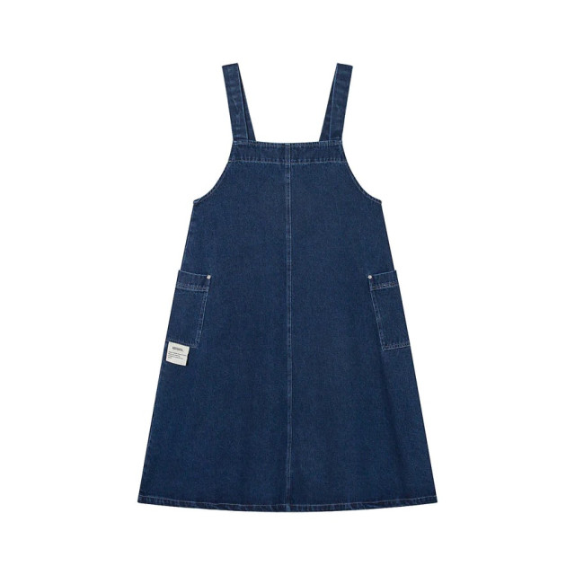 A[S]USL DENIM OVERALL DRESS