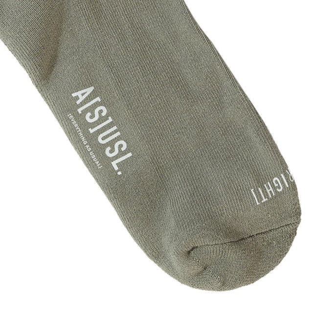 A[S]USL 2 STRIPES LOGO CREW SOCKS