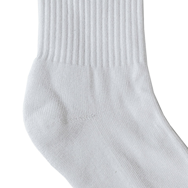 A[S]USL 2 STRIPES LOGO CREW SOCKS