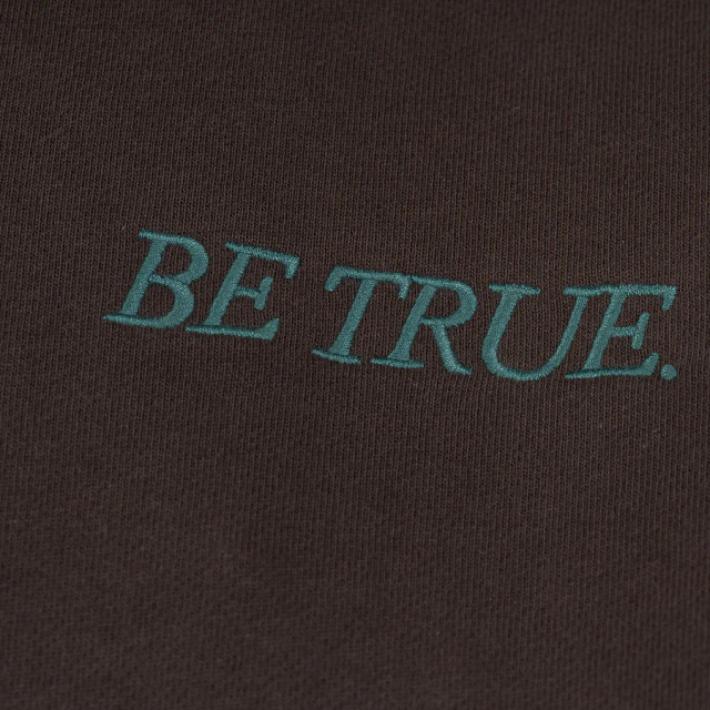 A[S]USL BE TRUE CROPPED POLO SWEATSHIRT