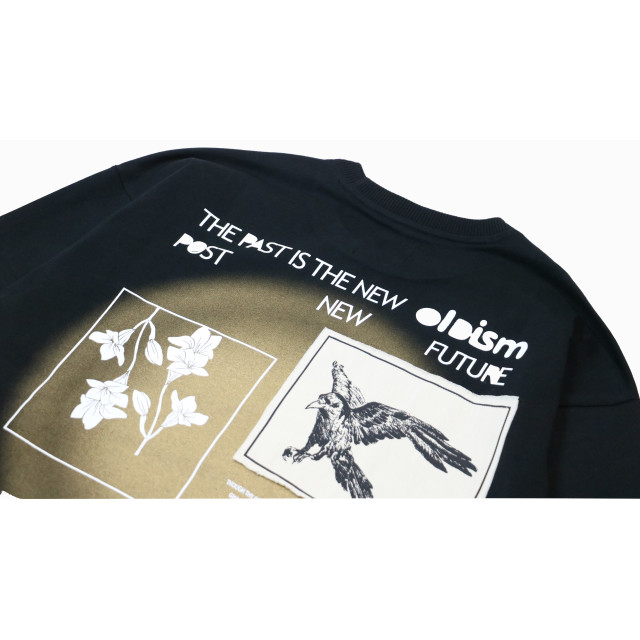OLD/SM ® COMMON RAVENS L/S TEE