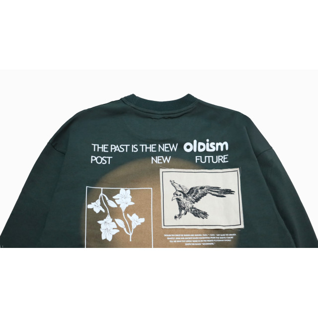 OLD/SM ® COMMON RAVENS L/S TEE