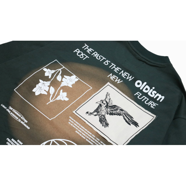 OLD/SM ® COMMON RAVENS L/S TEE