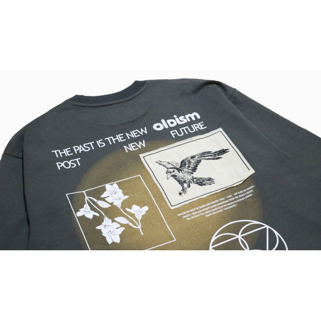 OLD/SM ® COMMON RAVENS L/S TEE