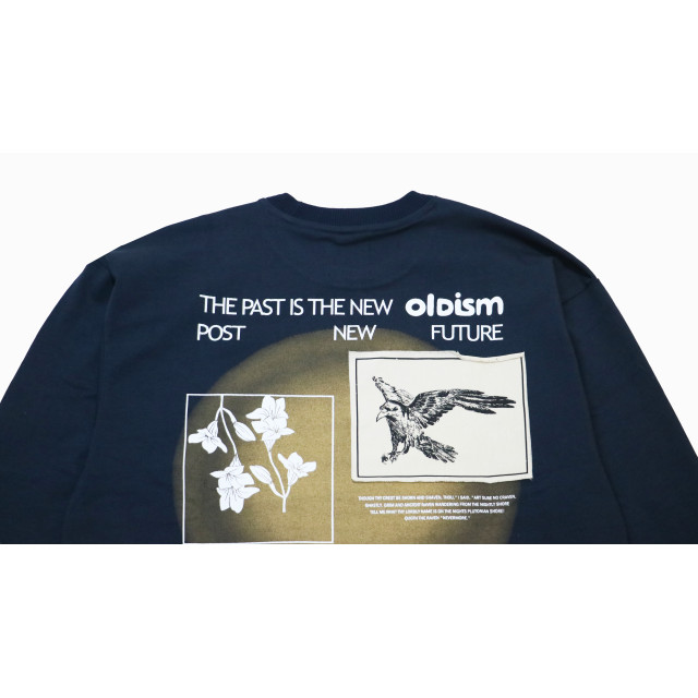 OLD/SM ® COMMON RAVENS L/S TEE