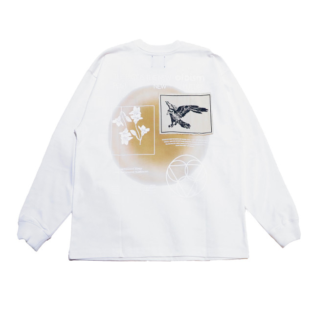 OLD/SM ® COMMON RAVENS L/S TEE