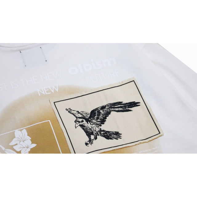 OLD/SM ® COMMON RAVENS L/S TEE